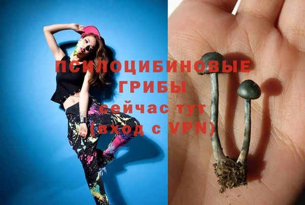 таблы Алзамай
