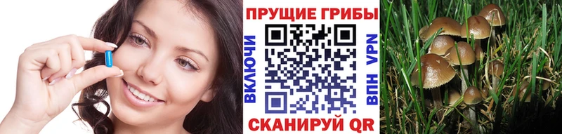 Псилоцибиновые грибы MAGIC MUSHROOMS  Кукмор 